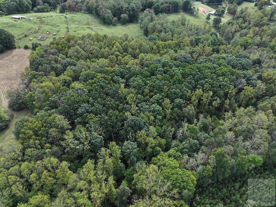 2nd image of 0 Salem Hwy