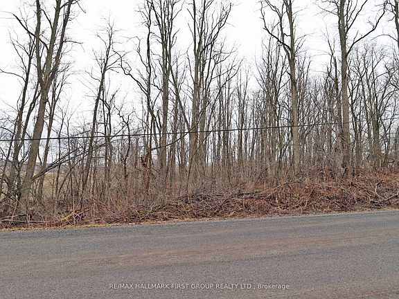 5th image of 207 Goodfellow Rd