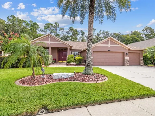 16108 Ivy Lake Dr, Odessa, FL 33556