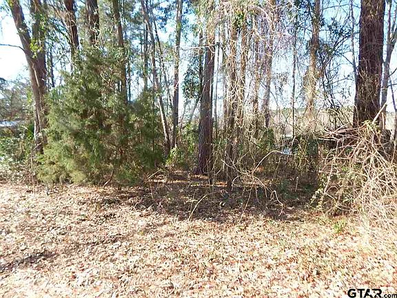 5th image of 104 Lakewood Dr