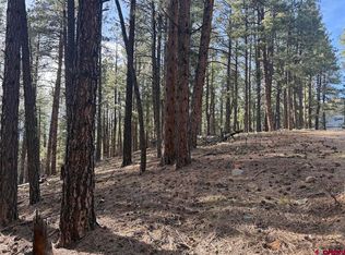 217 Pine Top Drive, Bayfield, CO 81137