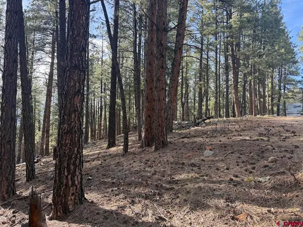 217 Pine Top Drive, Bayfield, CO 81137