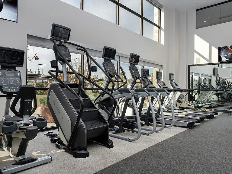 Ample cardio equipment and weight machines
