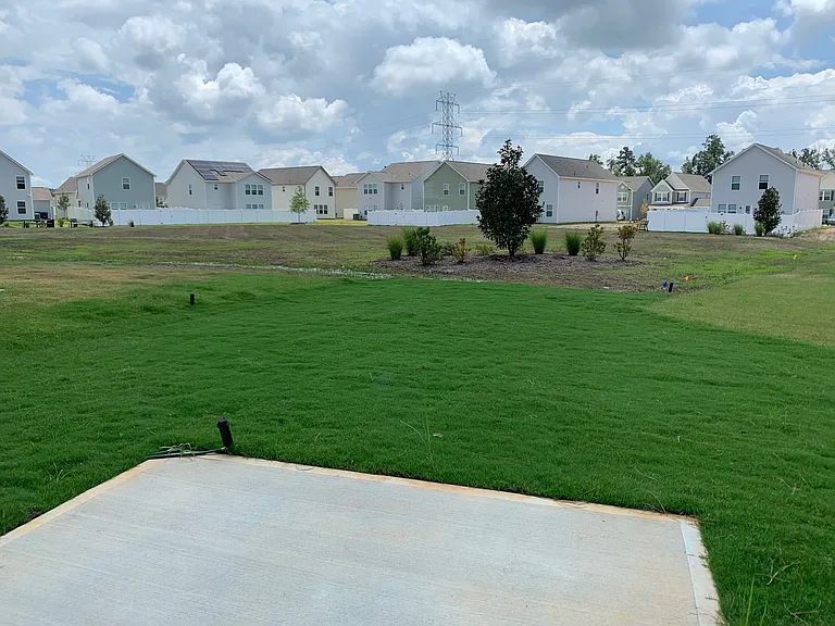Open back yard