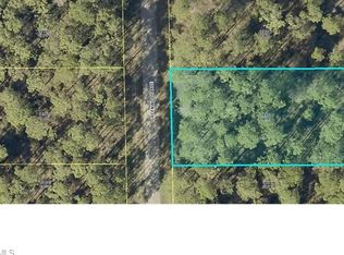1606 Greenwood Ave, Lehigh Acres, FL 33972
