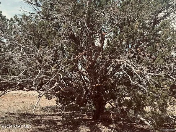LOT-43N W Tides Trl, Ash Fork, AZ 86320