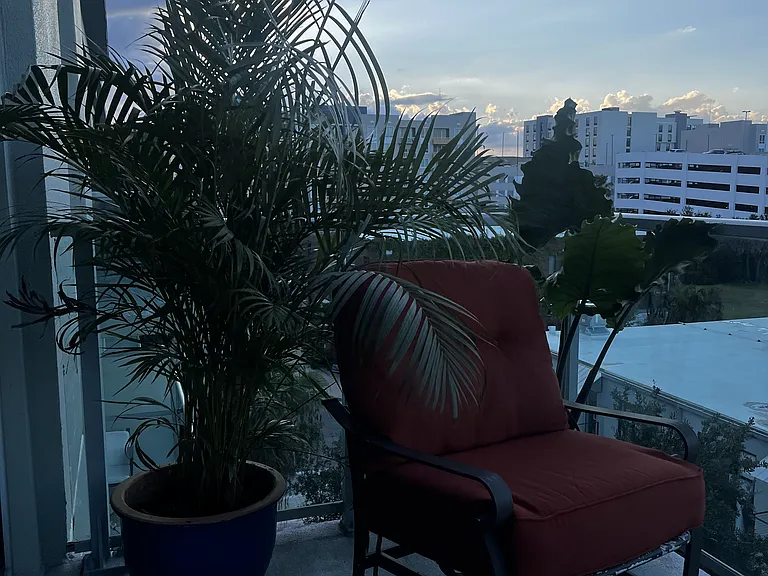 From Balcony, evening, looking NW
