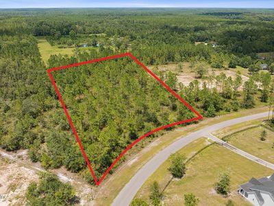 14079 DUNROVEN Drive, Bryceville, FL, 32009