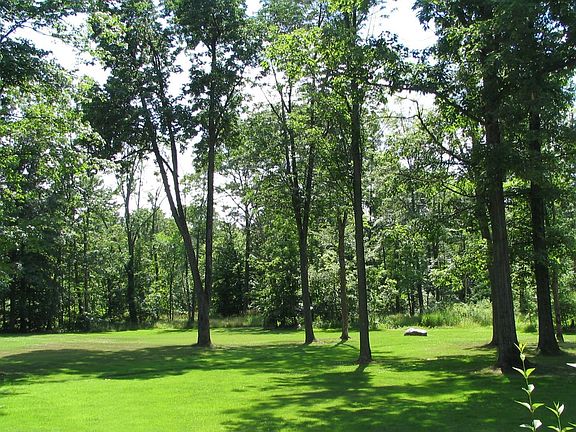 Backyard and part of field