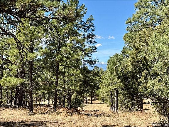 4th image of 34999 Timber Park Drive LOT D51