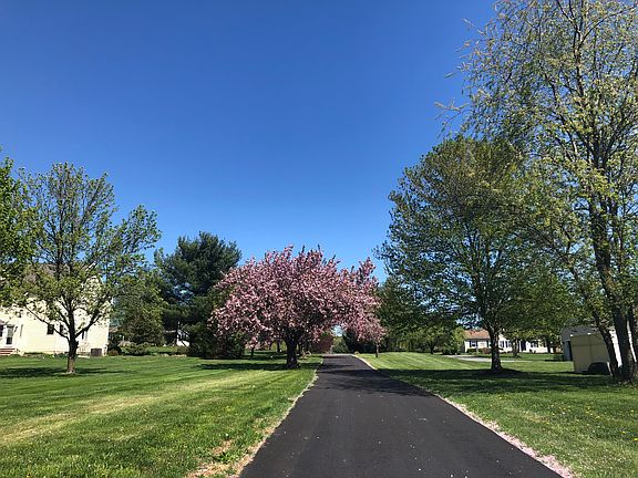 Newly paved drive (2018)
