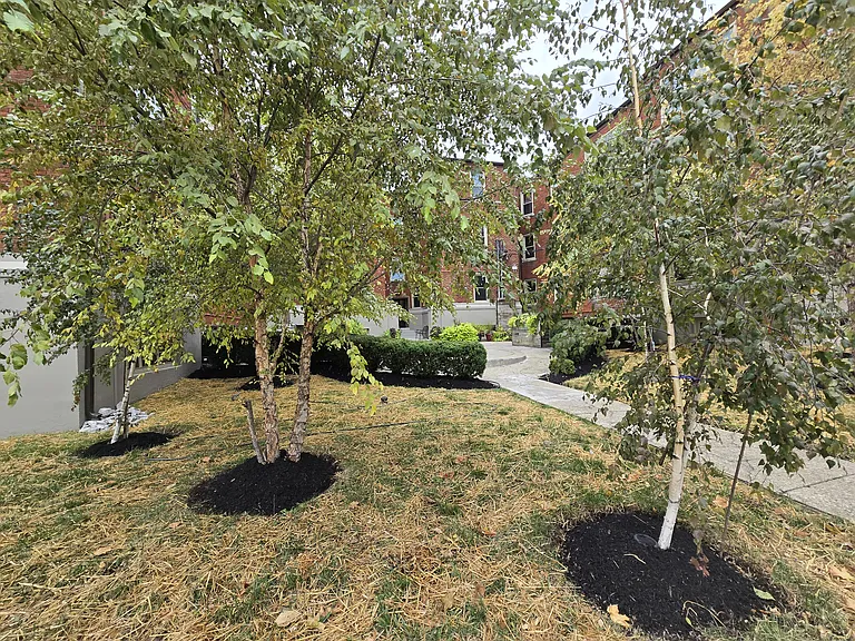 334 Forest Ave #A1 — Photo 23