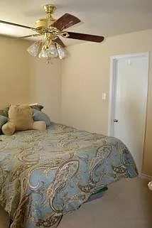 2509 Castle Pines Dr — Photo 16