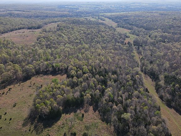 3rd image of N Camp Creek Rd