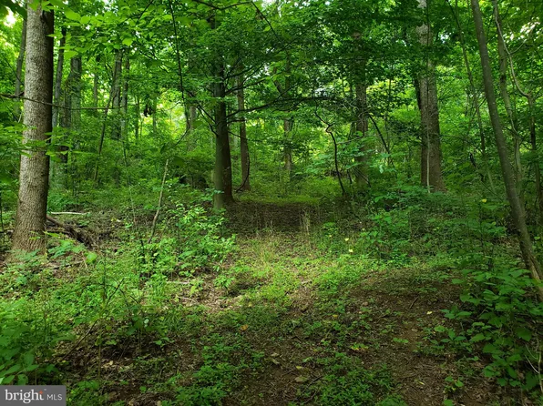 4302 Fishers Hollow Rd, Myersville, MD 21773