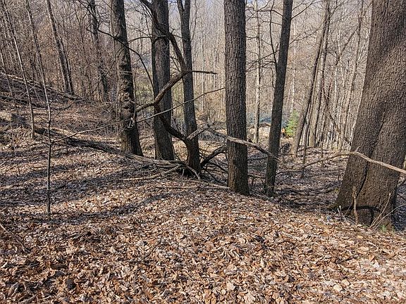 4th image of 4 Buckeye Rd #63