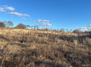 11918 Springtown Rd, Mineral Pt, MO 63660