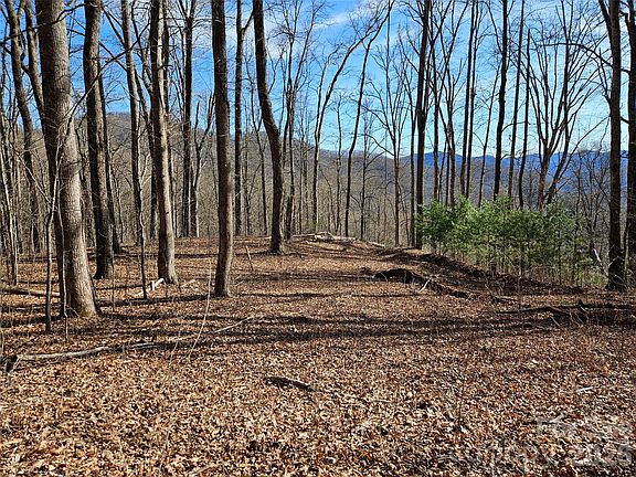 5th image of 262 Si Knob Rd