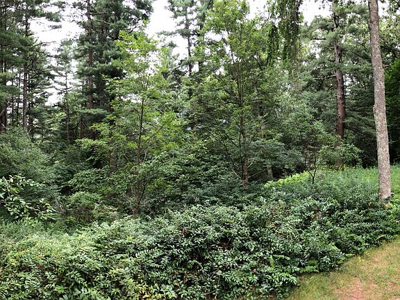 View to the south, into conservation land