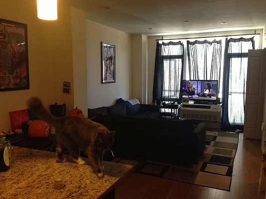 Rented by Elite NY Holdings | media 13