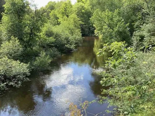 S Forward Rd, Falmouth, MI 49632