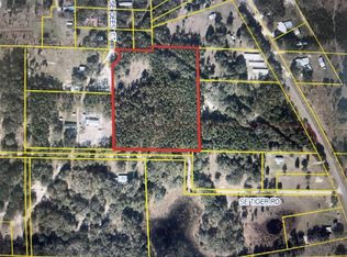 185 SE Dees Ct, Mayo, FL 32066