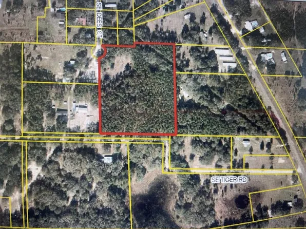 185 SE Dees Ct, Mayo, FL 32066