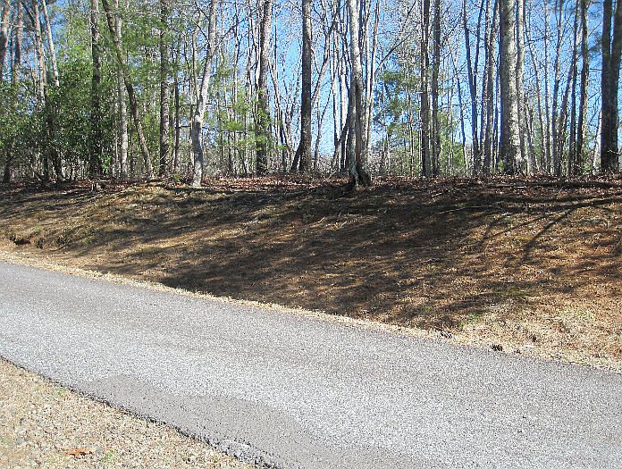 2nd image of LOT 13 Golden Mountain Rd