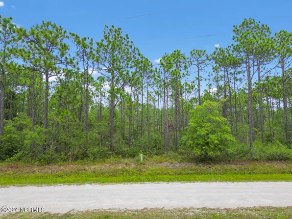 Lot 414 Bridges Road, Boiling Spring Lakes, NC 28461