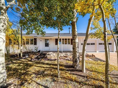 24108 State Highway 67, Divide, CO, 80814