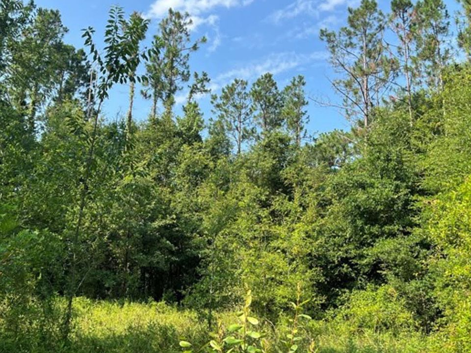 2nd image of 102 SW Green Acres Way