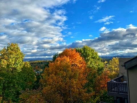 2nd image of 218 Tree Top Ln #218