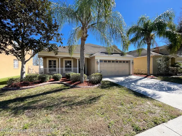 7614 Bulls Head Dr, Wesley Chapel, FL 33545
