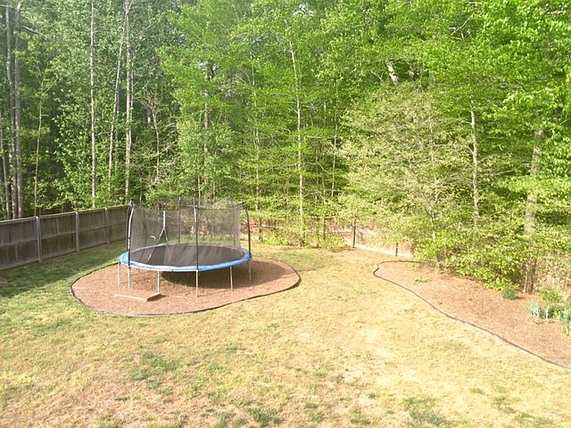 Trampoline Conveys!
