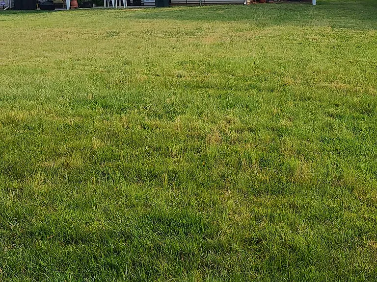 11650 Elizabeth Madison Ct — Photo 11