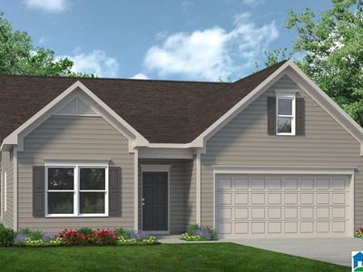 80 Sanie Rd, Odenville, AL, 35120
