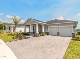 3246 Tiger Palm Way, New Smyrna Beach, FL 32168