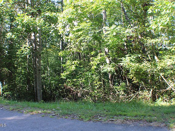 3rd image of Deer Creek Xing