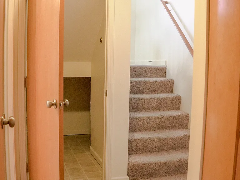 Storage closet downstairs