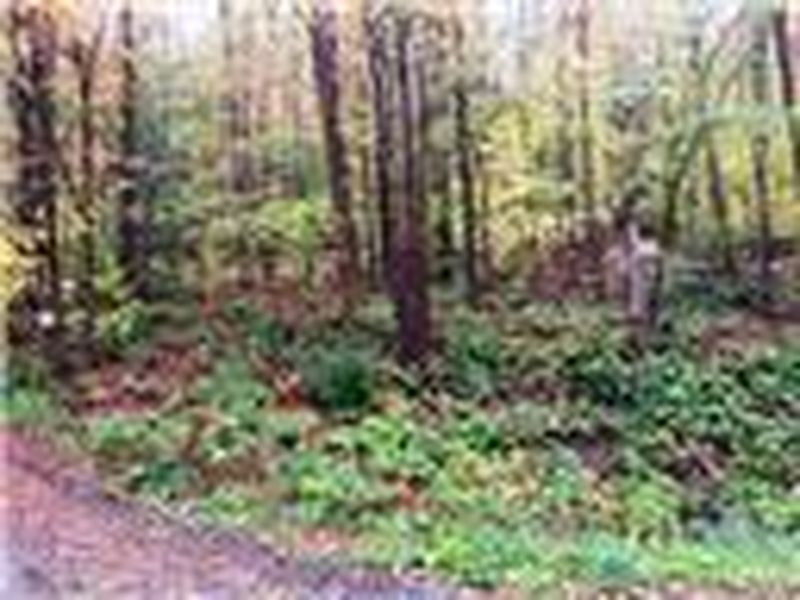 3rd image of L1.00 Hollenbeck Road