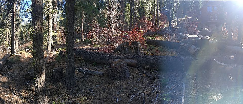 2nd image of 7410 Yosemite Park Way