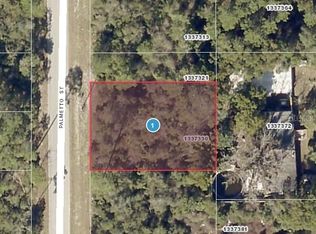 Palmetto St LOT 18, Paisley, FL 32767