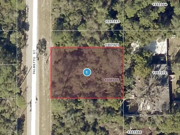 Palmetto St Lot 18, Paisley, FL 32767