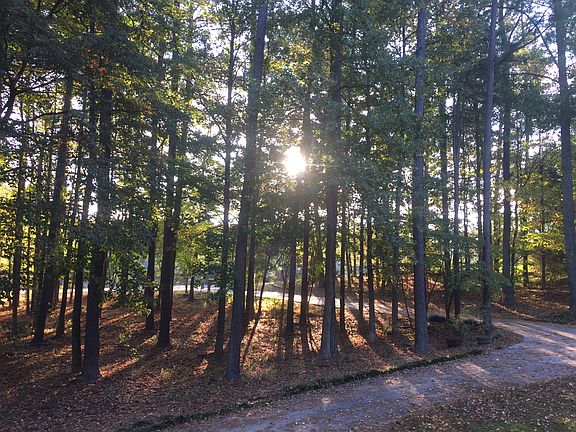 View from front porch