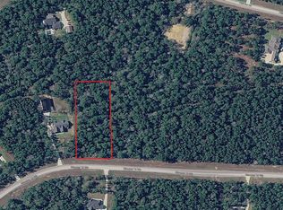 15845 Wooded Trail Way, Willis, TX 77378