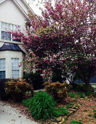 2nd image of 1935 Saint Gregorys Ct