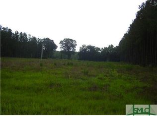 0 Benjamin Gnann Rd, Springfield, GA 31329