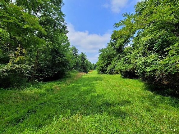5th image of 9.5 Ac Clermontville Laurel Rd