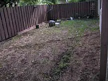 back yard
