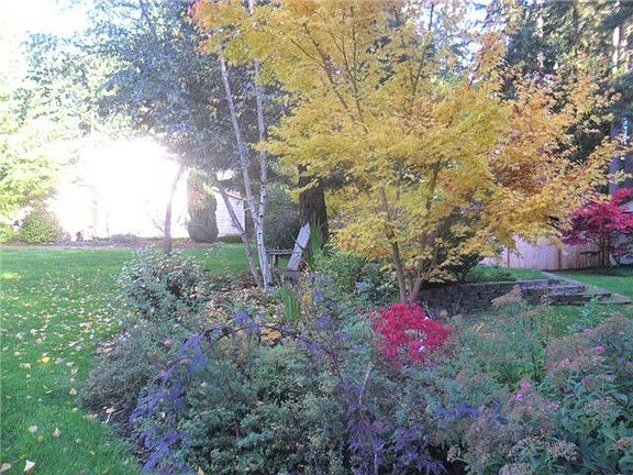 Backyard Garden 